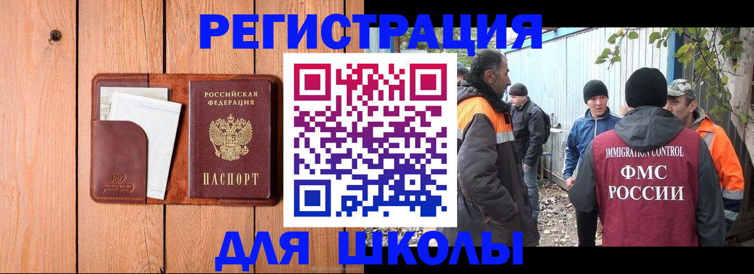 форма 3 в Камчатском крае